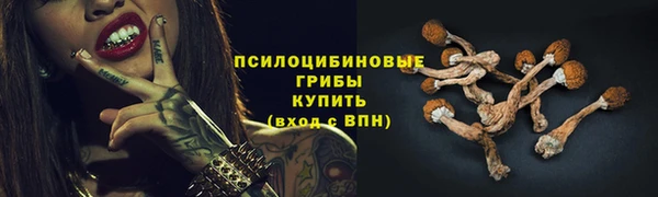 прущие крисы Козловка