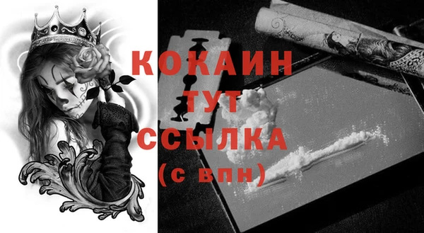МДПВ Кодинск